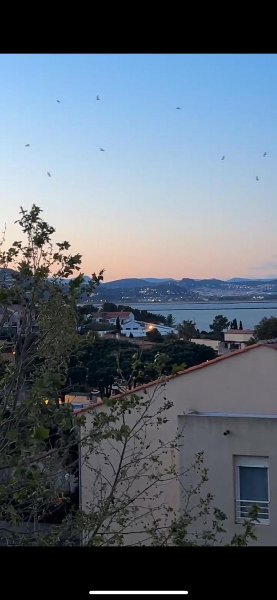 Superbe Duplex Refait A Neuf ! Apartment Hyères Екстериор снимка